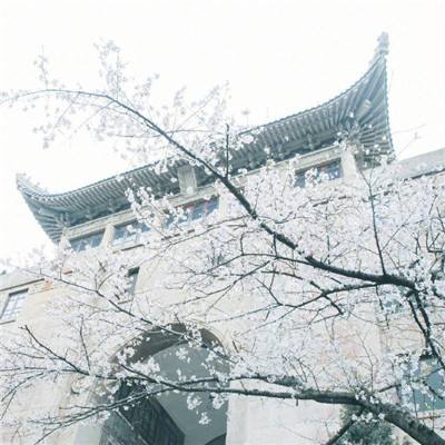 视频天坛斋宫的大门，为什么朝东开？